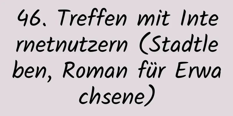 46. ​​​​Treffen mit Internetnutzern (Stadtleben, Roman für Erwachsene)