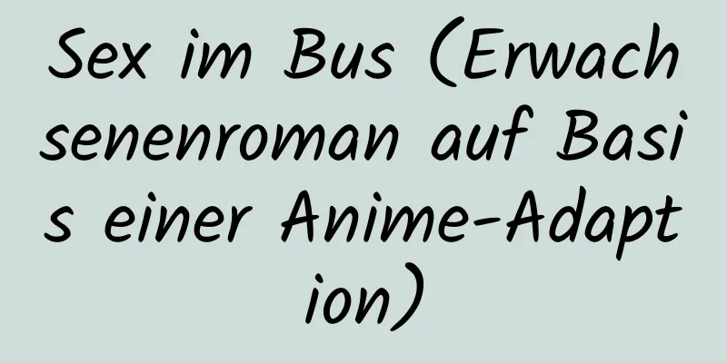 Sex im Bus (Erwachsenenroman auf Basis einer Anime-Adaption)