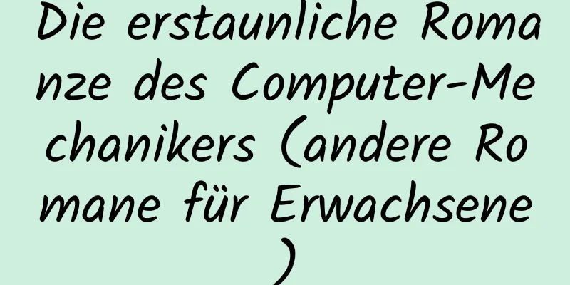 Die erstaunliche Romanze des Computer-Mechanikers (andere Romane für Erwachsene)