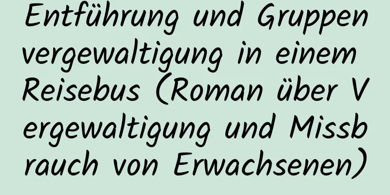 Entführung und Gruppenvergewaltigung in einem Reisebus (Roman über Vergewaltigung und Missbrauch von Erwachsenen)