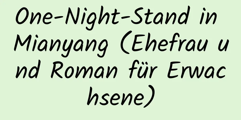 One-Night-Stand in Mianyang (Ehefrau und Roman für Erwachsene)