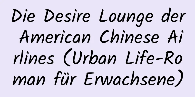 Die Desire Lounge der American Chinese Airlines (Urban Life-Roman für Erwachsene)