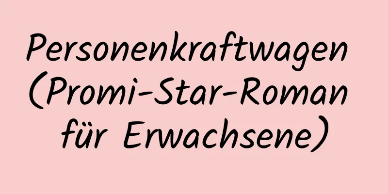 Personenkraftwagen (Promi-Star-Roman für Erwachsene)