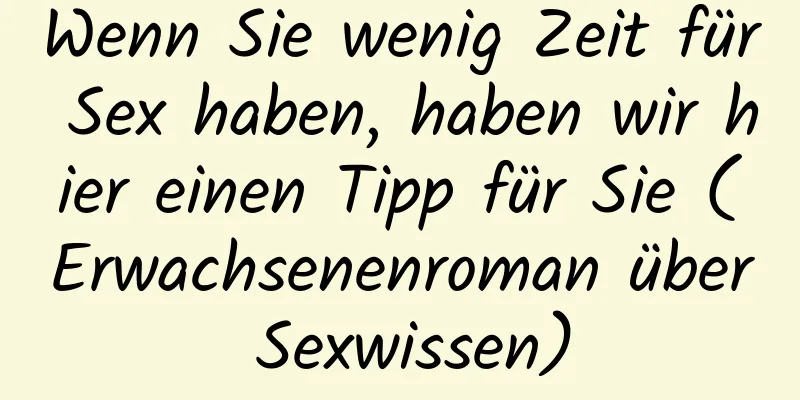 Wenn Sie wenig Zeit für Sex haben, haben wir hier einen Tipp für Sie (Erwachsenenroman über Sexwissen)