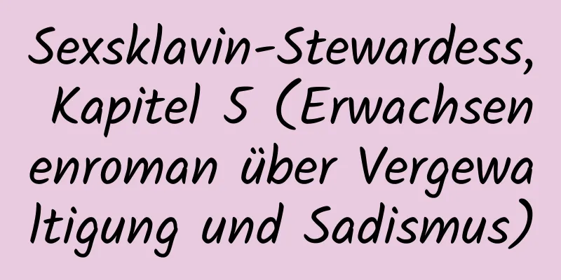 Sexsklavin-Stewardess, Kapitel 5 (Erwachsenenroman über Vergewaltigung und Sadismus)