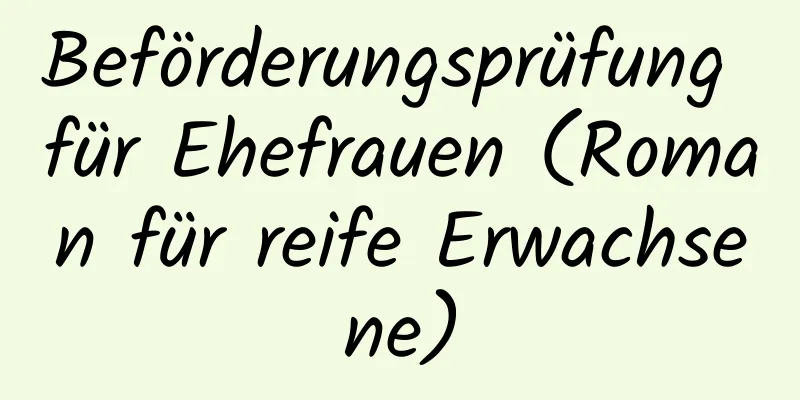 Beförderungsprüfung für Ehefrauen (Roman für reife Erwachsene)