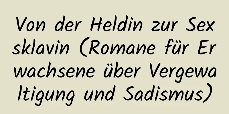 Von der Heldin zur Sexsklavin (Romane für Erwachsene über Vergewaltigung und Sadismus)