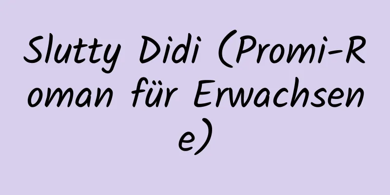 Slutty Didi (Promi-Roman für Erwachsene)