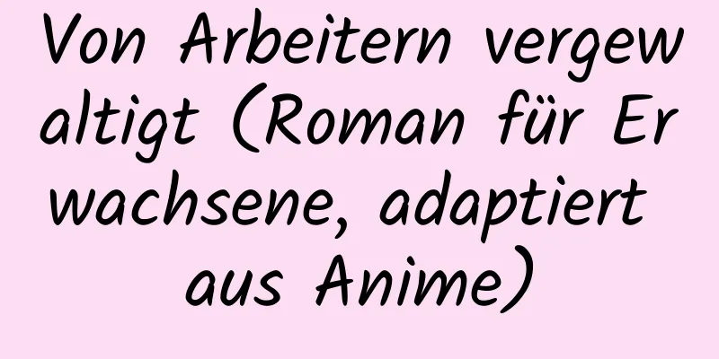 Von Arbeitern vergewaltigt (Roman für Erwachsene, adaptiert aus Anime)