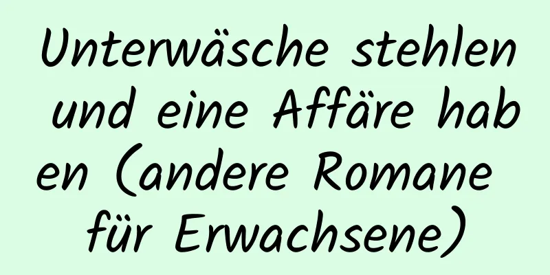 Unterwäsche stehlen und eine Affäre haben (andere Romane für Erwachsene)