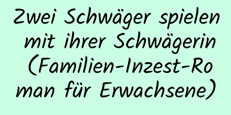 Zwei Schwäger spielen mit ihrer Schwägerin (Familien-Inzest-Roman für Erwachsene)