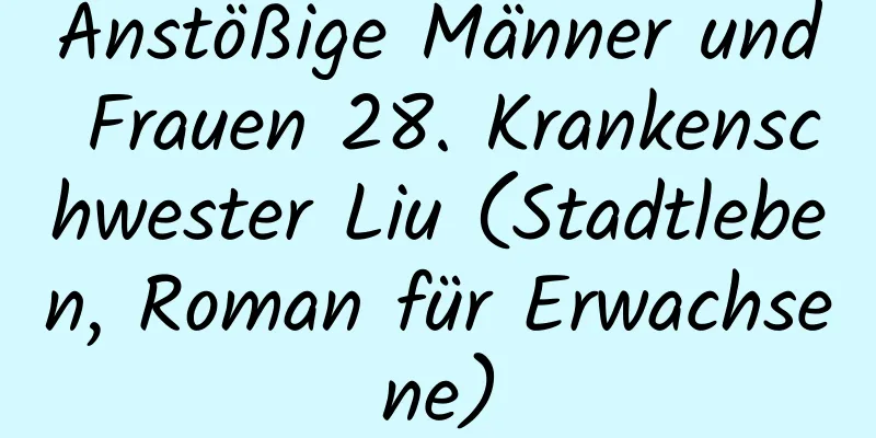 Anstößige Männer und Frauen 28. Krankenschwester Liu (Stadtleben, Roman für Erwachsene)