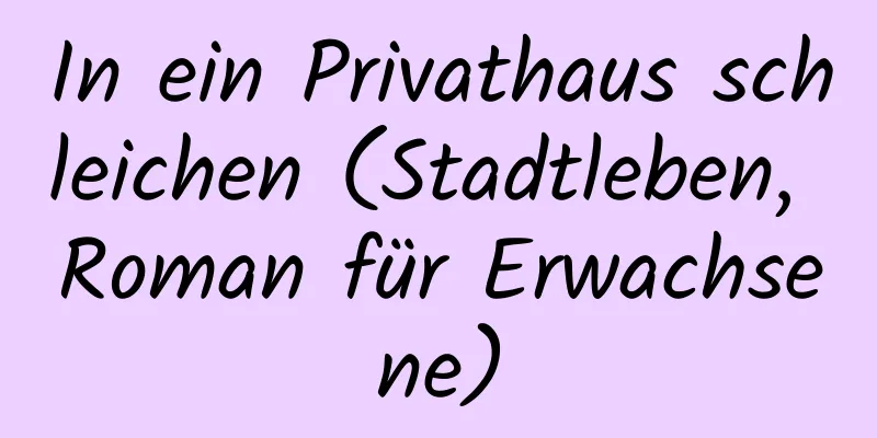 In ein Privathaus schleichen (Stadtleben, Roman für Erwachsene)