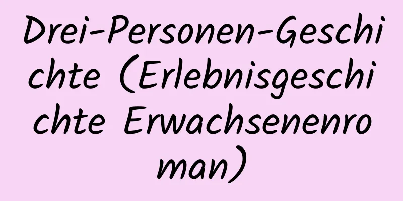 Drei-Personen-Geschichte (Erlebnisgeschichte Erwachsenenroman)