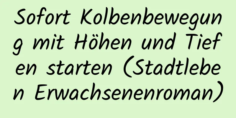 Sofort Kolbenbewegung mit Höhen und Tiefen starten (Stadtleben Erwachsenenroman)