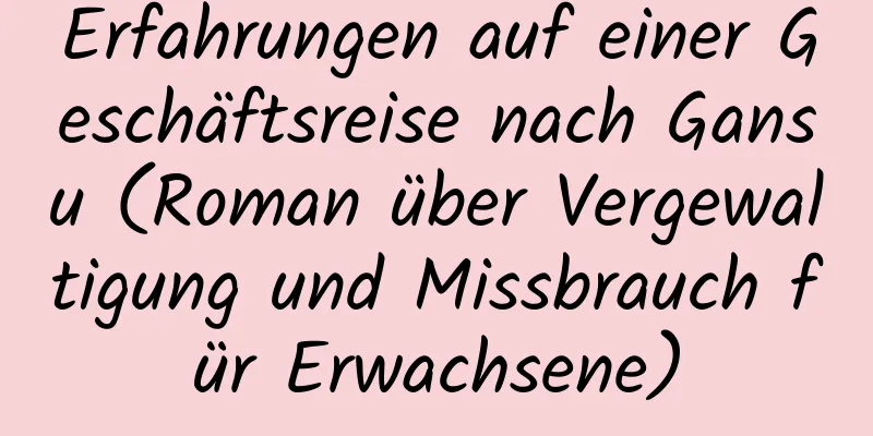 Erfahrungen auf einer Geschäftsreise nach Gansu (Roman über Vergewaltigung und Missbrauch für Erwachsene)