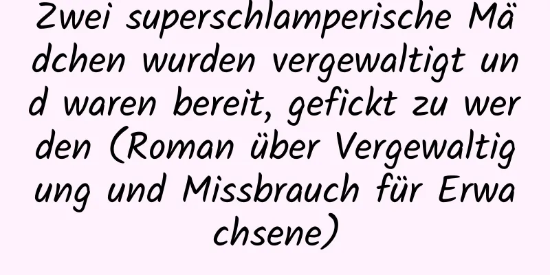 Zwei superschlamperische Mädchen wurden vergewaltigt und waren bereit, gefickt zu werden (Roman über Vergewaltigung und Missbrauch für Erwachsene)