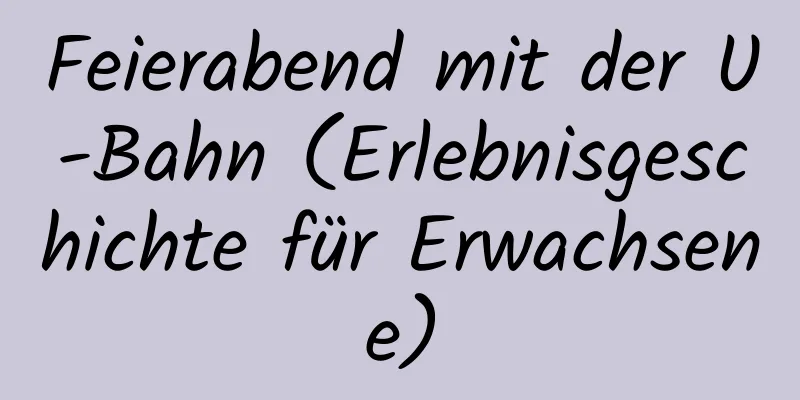 Feierabend mit der U-Bahn (Erlebnisgeschichte für Erwachsene)