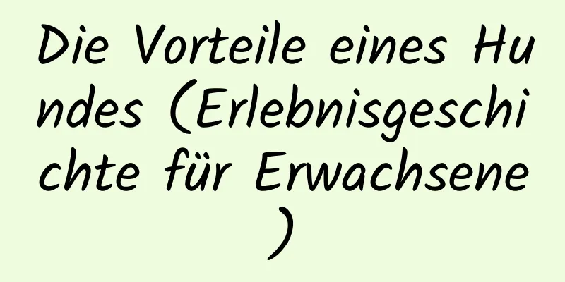 Die Vorteile eines Hundes (Erlebnisgeschichte für Erwachsene)