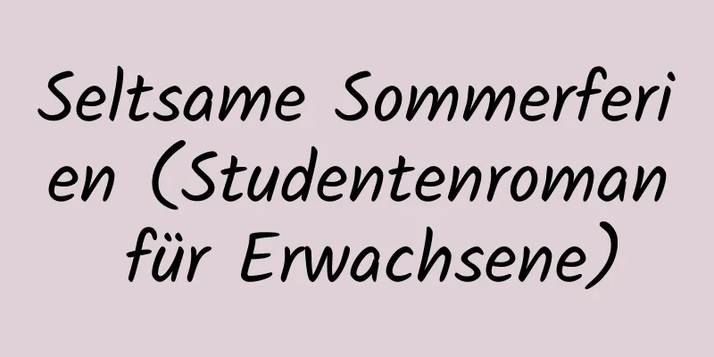 Seltsame Sommerferien (Studentenroman für Erwachsene)