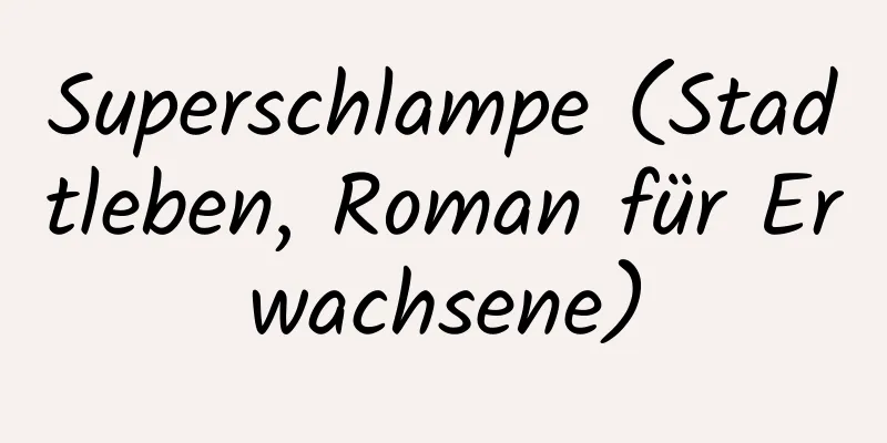 Superschlampe (Stadtleben, Roman für Erwachsene)