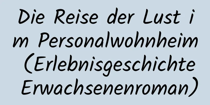 Die Reise der Lust im Personalwohnheim (Erlebnisgeschichte Erwachsenenroman)