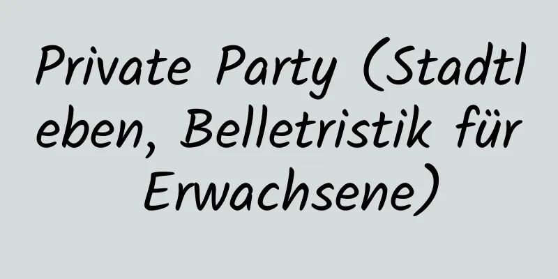 Private Party (Stadtleben, Belletristik für Erwachsene)