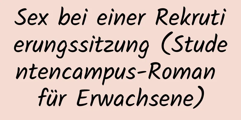 Sex bei einer Rekrutierungssitzung (Studentencampus-Roman für Erwachsene)