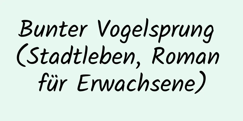 Bunter Vogelsprung (Stadtleben, Roman für Erwachsene)