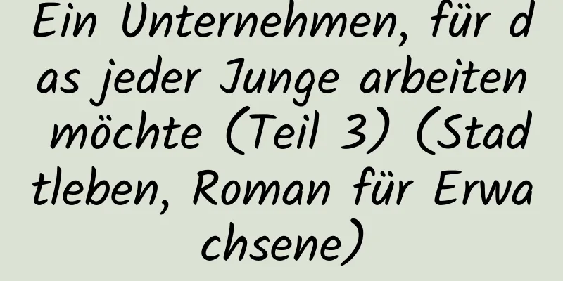 Ein Unternehmen, für das jeder Junge arbeiten möchte (Teil 3) (Stadtleben, Roman für Erwachsene)