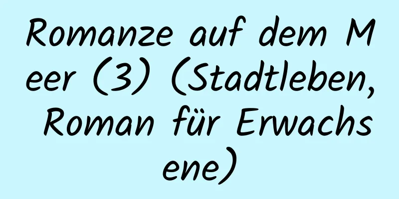 Romanze auf dem Meer (3) (Stadtleben, Roman für Erwachsene)