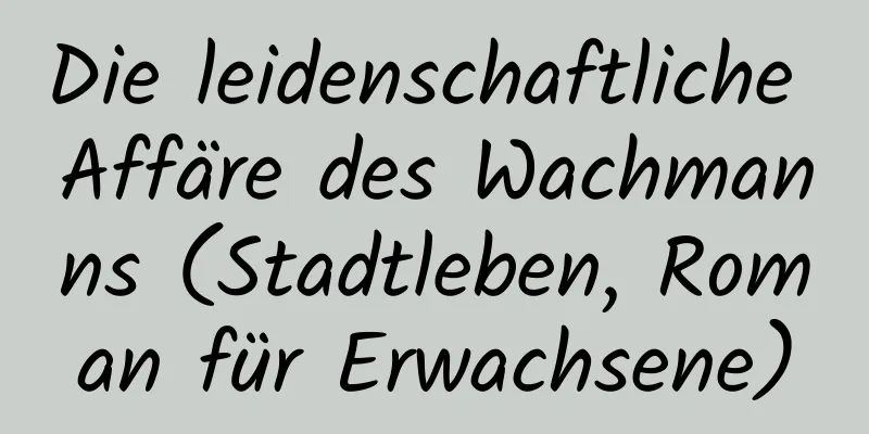 Die leidenschaftliche Affäre des Wachmanns (Stadtleben, Roman für Erwachsene)