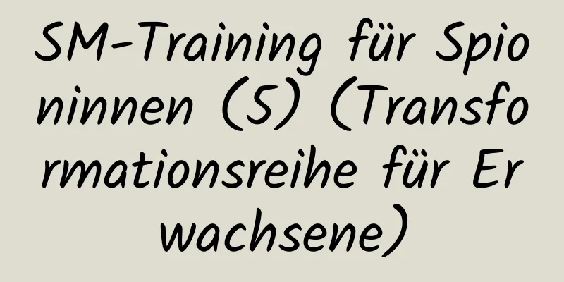 SM-Training für Spioninnen (5) (Transformationsreihe für Erwachsene)