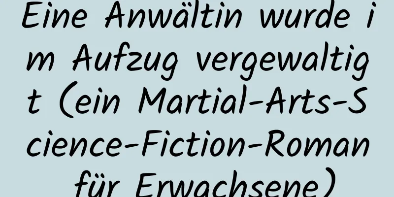 Eine Anwältin wurde im Aufzug vergewaltigt (ein Martial-Arts-Science-Fiction-Roman für Erwachsene)