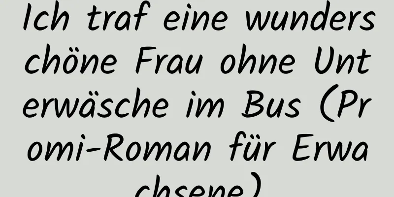 Ich traf eine wunderschöne Frau ohne Unterwäsche im Bus (Promi-Roman für Erwachsene)