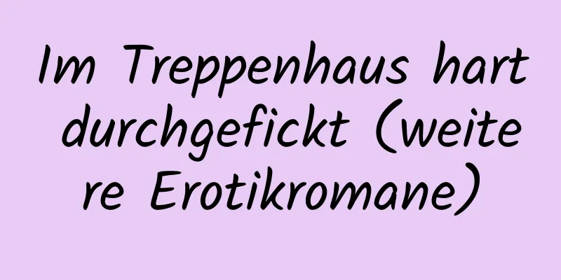 Im Treppenhaus hart durchgefickt (weitere Erotikromane)