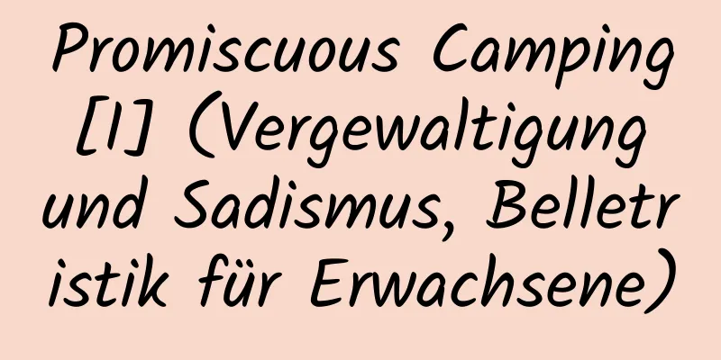 Promiscuous Camping [I] (Vergewaltigung und Sadismus, Belletristik für Erwachsene)