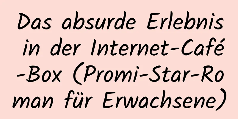 Das absurde Erlebnis in der Internet-Café-Box (Promi-Star-Roman für Erwachsene)