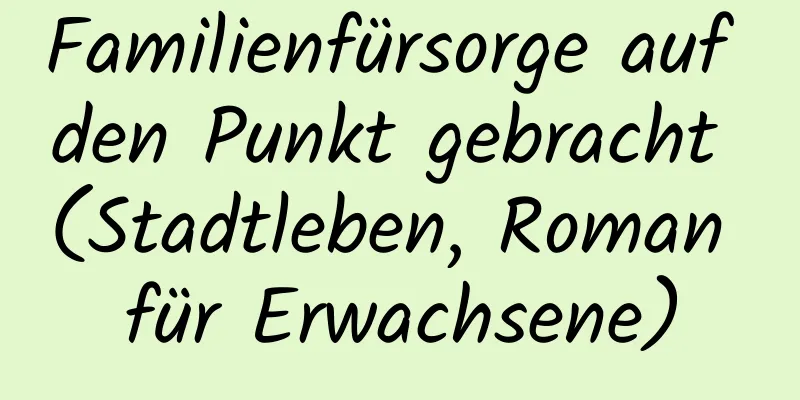 Familienfürsorge auf den Punkt gebracht (Stadtleben, Roman für Erwachsene)