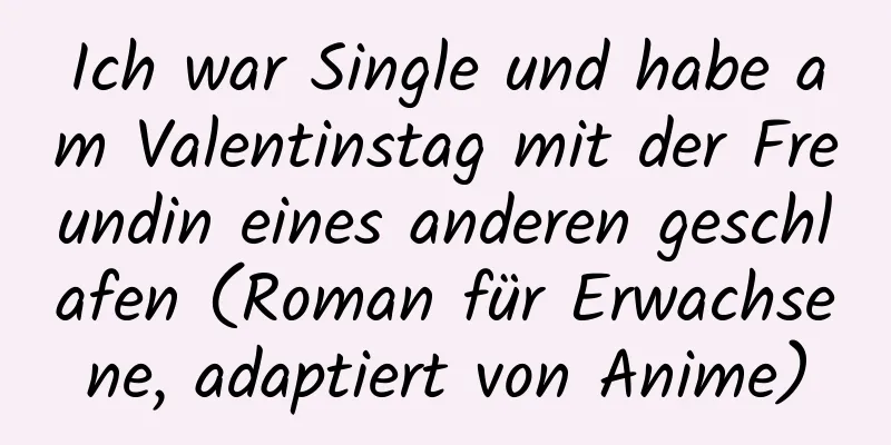 Ich war Single und habe am Valentinstag mit der Freundin eines anderen geschlafen (Roman für Erwachsene, adaptiert von Anime)