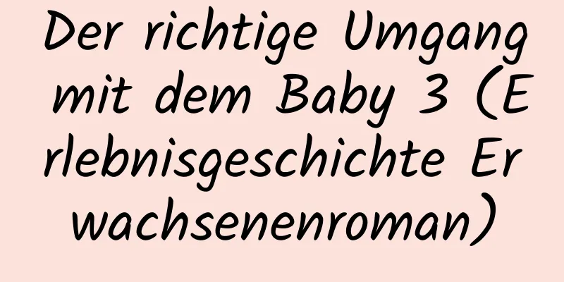 Der richtige Umgang mit dem Baby 3 (Erlebnisgeschichte Erwachsenenroman)