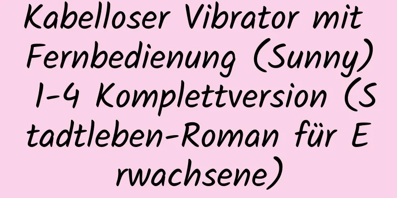 Kabelloser Vibrator mit Fernbedienung (Sunny) 1-4 Komplettversion (Stadtleben-Roman für Erwachsene)