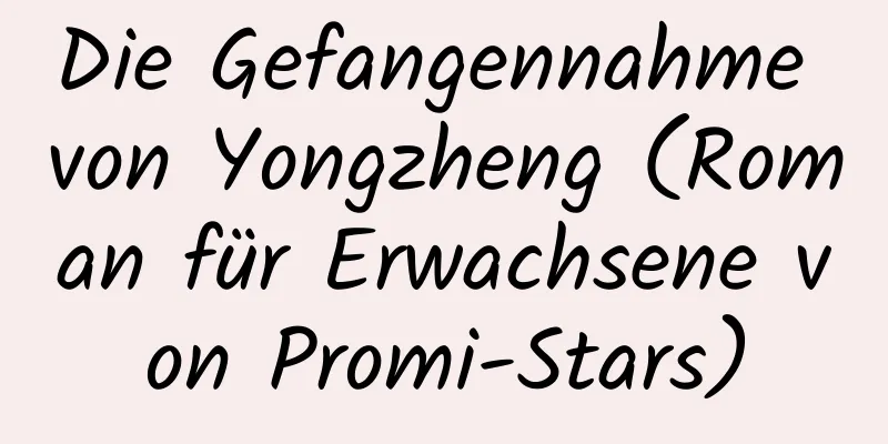 Die Gefangennahme von Yongzheng (Roman für Erwachsene von Promi-Stars)