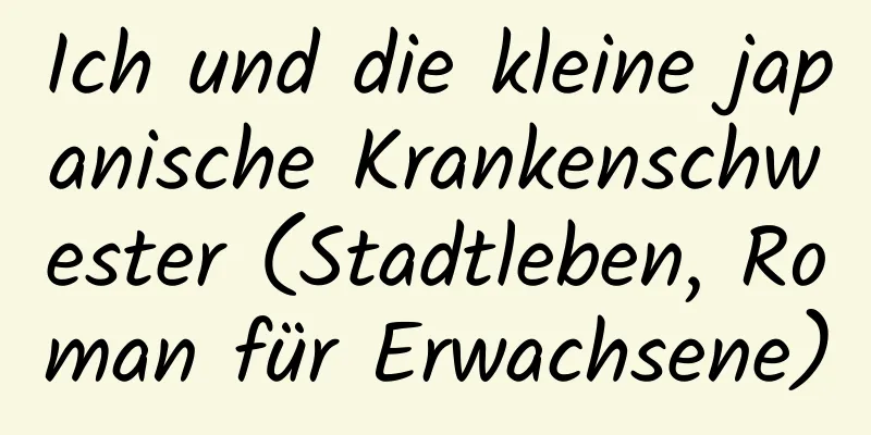 Ich und die kleine japanische Krankenschwester (Stadtleben, Roman für Erwachsene)