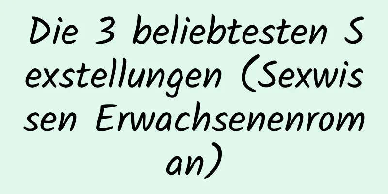 Die 3 beliebtesten Sexstellungen (Sexwissen Erwachsenenroman)