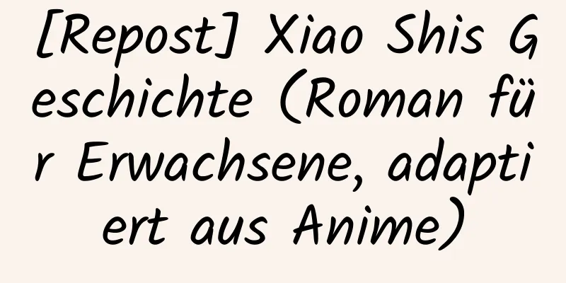 [Repost] Xiao Shis Geschichte (Roman für Erwachsene, adaptiert aus Anime)