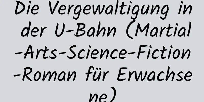 Die Vergewaltigung in der U-Bahn (Martial-Arts-Science-Fiction-Roman für Erwachsene)