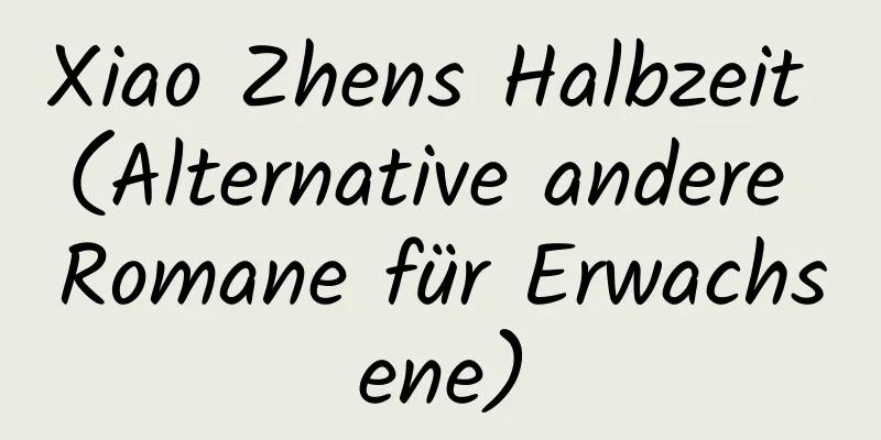 Xiao Zhens Halbzeit (Alternative andere Romane für Erwachsene)