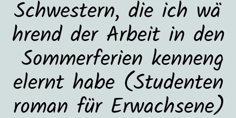 Schwestern, die ich während der Arbeit in den Sommerferien kennengelernt habe (Studentenroman für Erwachsene)