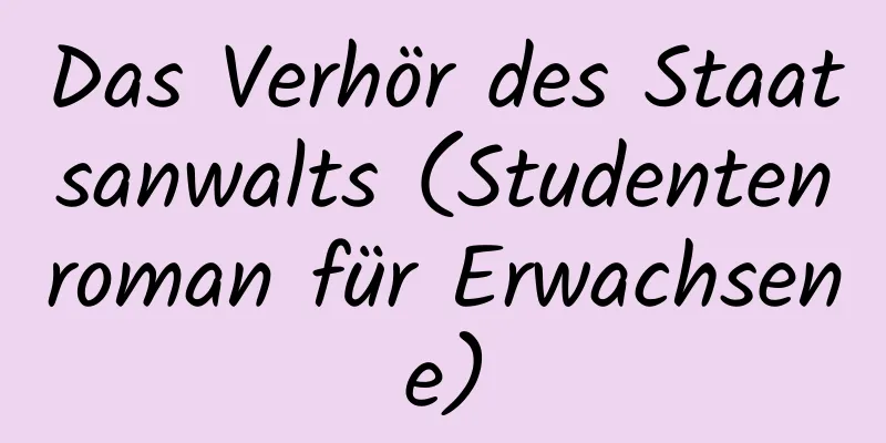 Das Verhör des Staatsanwalts (Studentenroman für Erwachsene)